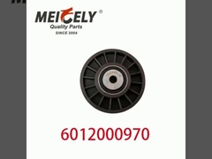 6012000970 9146139 Partes del motor de automóviles Cinturón de la polea de tensión para Mercedes Benz