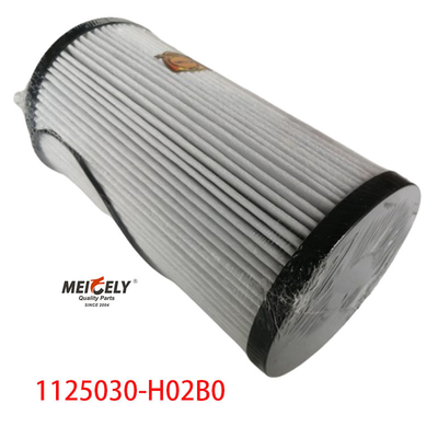 1125030-H02B0 Compartimientos de camiones Filtro de combustible para Dongfeng Tianlong