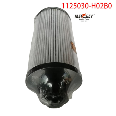1125030-H02B0 Compartimientos de camiones Filtro de combustible para Dongfeng Tianlong