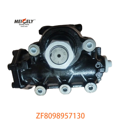 Equipo de dirección asistida de alto rendimiento OE ZF8098957130