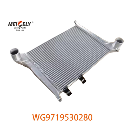 OEM WG9719530280 Para el conjunto de intercooler de Howo WG9719530281