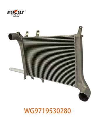 OEM WG9719530280 Para el conjunto de intercooler de Howo WG9719530281
