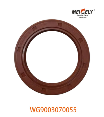 WG9003070055 Sello de aceite PS55X75X12 Adaptado para SINOTRUK CNHTC HOWO