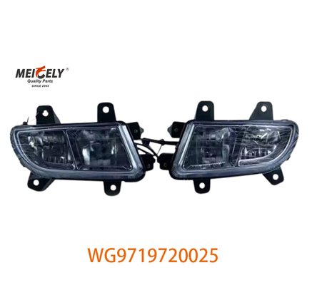 Sinotruk Howo Lámparas agrupadas para camiones pesados con motor WG9719720025 WG9719720001