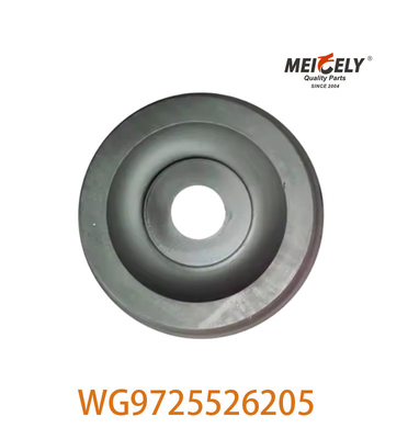 El conjunto de rodamientos conjuntos de alto rendimiento WG9725526205 para SINOTRUK HOWO chino
