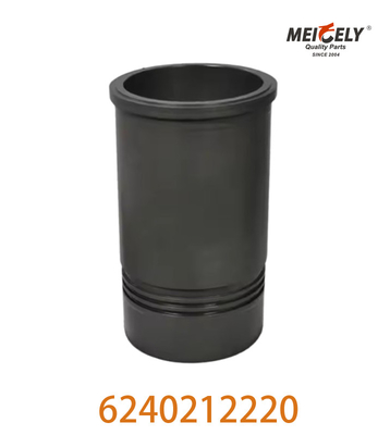 El motor diesel tiene un motor de alto rendimiento OEM 6240212220