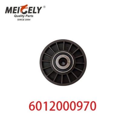 6012000970 9146139 Partes del motor de automóviles Cinturón de la polea de tensión para Mercedes Benz