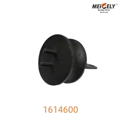 1614600 Montaje del radiador para Volvo Instalación sin problemas garantizada