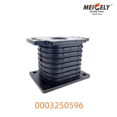 0003250596 Montaje de resorte hueco para el Benz Actros Durable