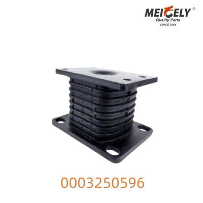 0003250596 Montaje de resorte hueco para el Benz Actros Durable