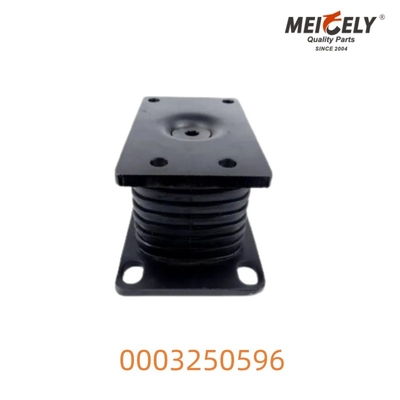 0003250596 Montaje de resorte hueco para el Benz Actros Durable